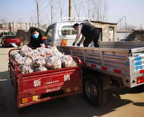 和新区农办的积极帮助下 邯郸市荣盛物业决定对蔬菜进行收购 截止2月