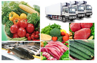 厦门蔬菜配送,厦门蔬菜配送生产厂家,厦门蔬菜配送价格
